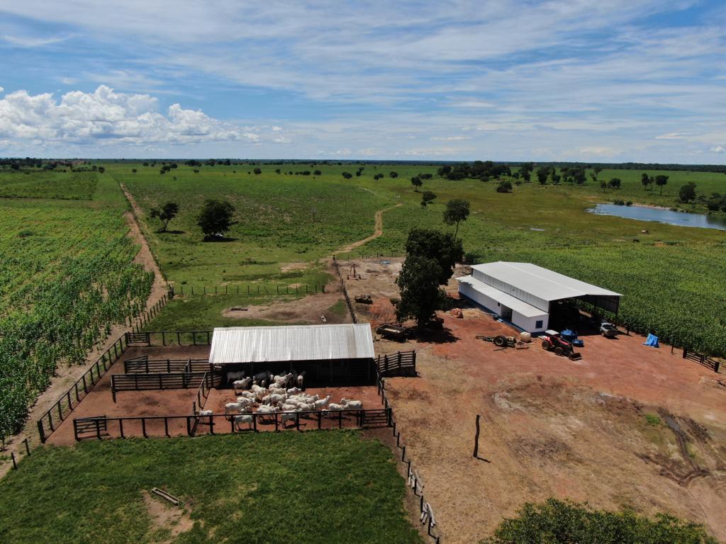 Fazenda de 106 Alqueires em Nova Crixás-GO com benfeitorias