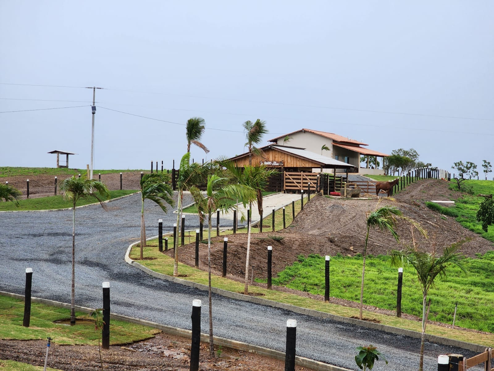 Fazenda em Pirenópolis: Um Sonho Rural de 246 Alqueires